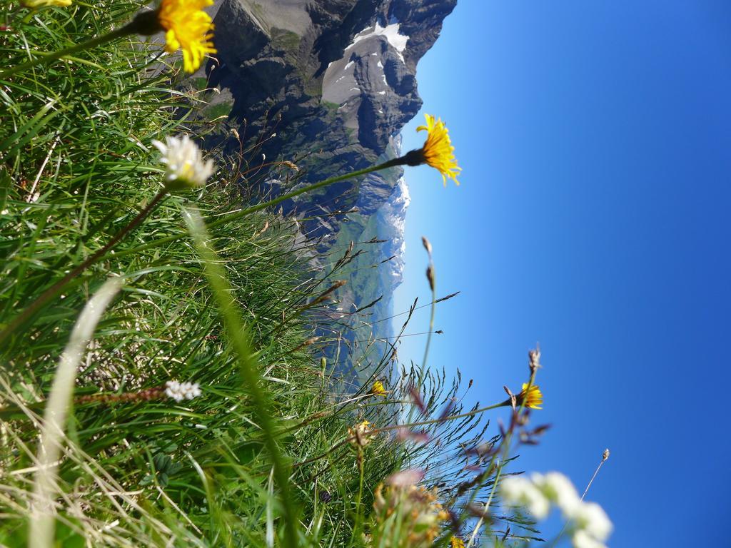 Hami Villa Adelboden Phòng bức ảnh