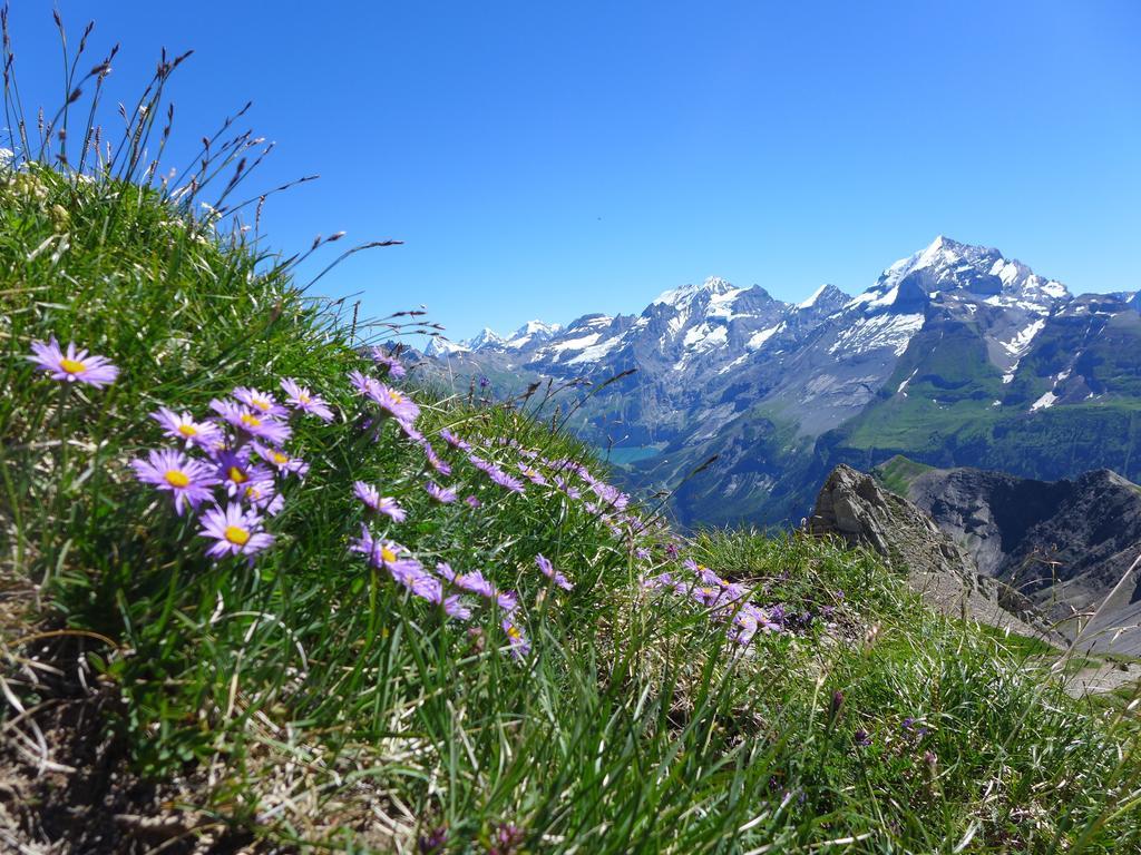 Hami Villa Adelboden Phòng bức ảnh