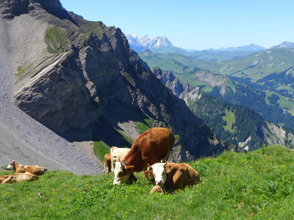 Hami Villa Adelboden Phòng bức ảnh